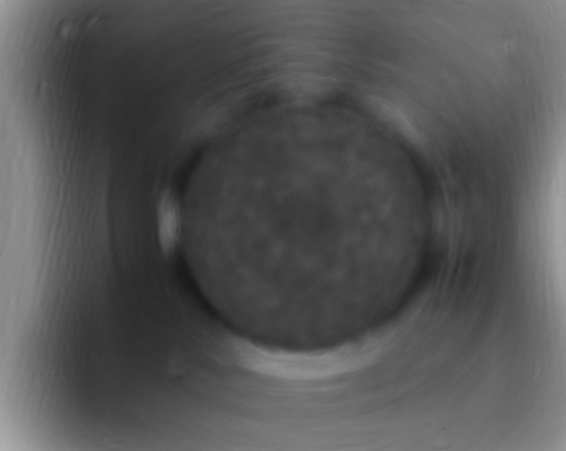X0000092090042200709262131