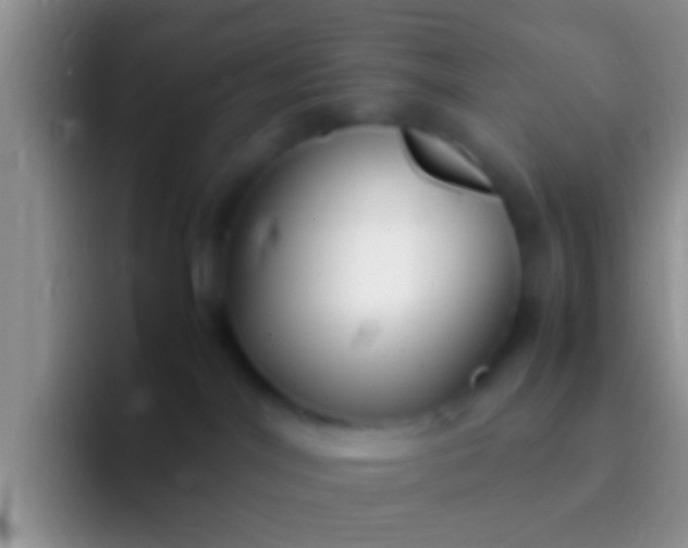X0000092090044200709262131