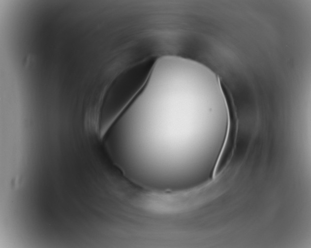 X0000092090045200709262131