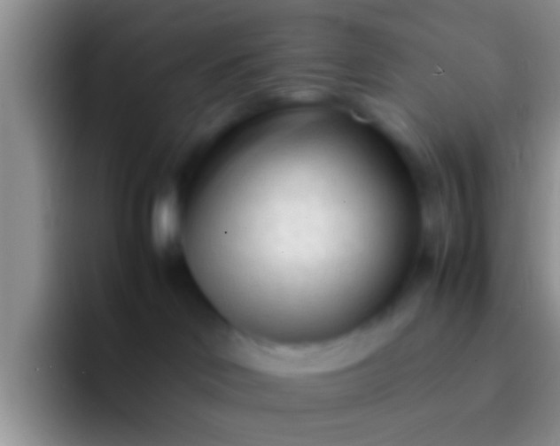 X0000092090046200709262131