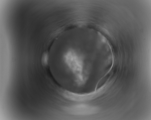 X0000092090047200709262131