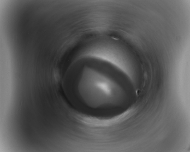 X0000092090048200709262131