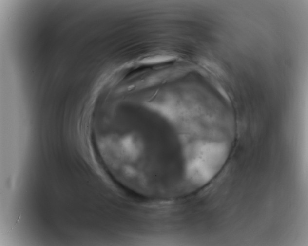 X0000092090049200709262130