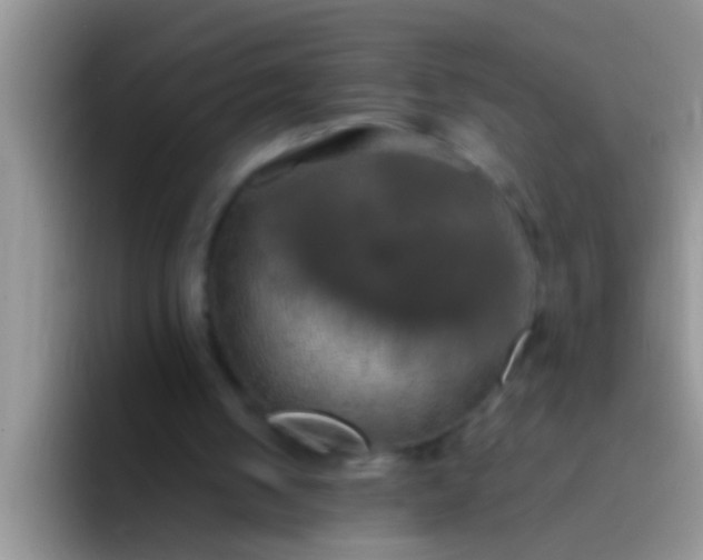 X0000092090050200709262130