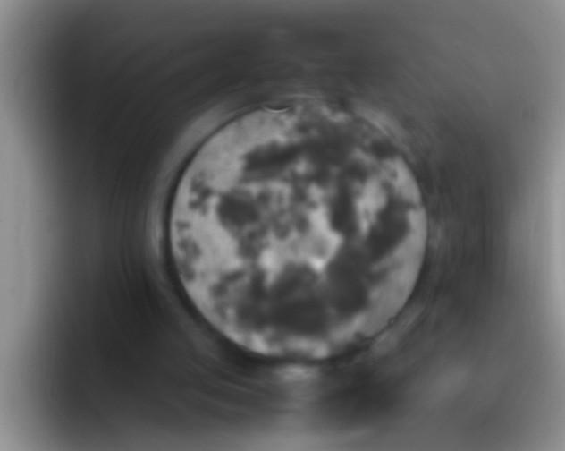 X0000092090053200709262130