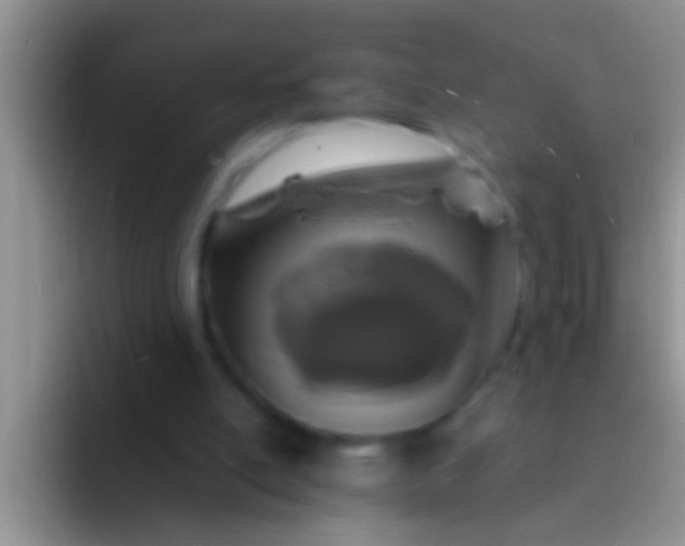 X0000092090054200709262130