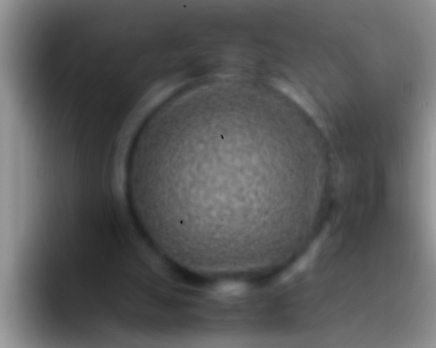 X0000092090055200709262130