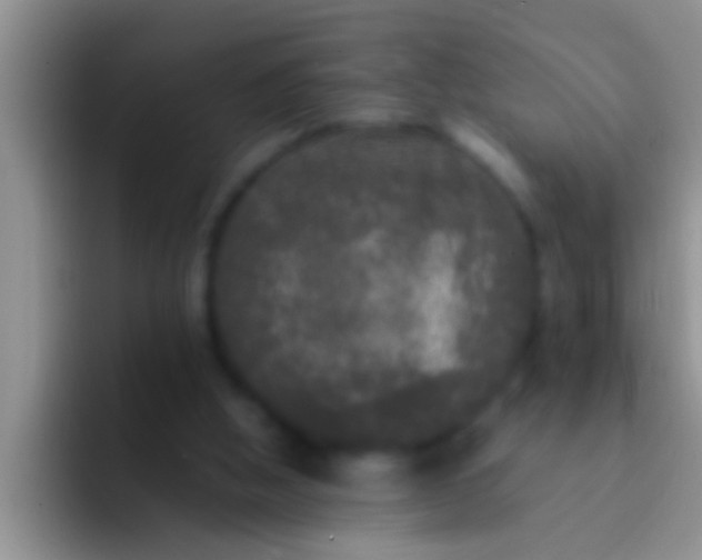 X0000092090058200709262130