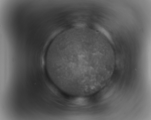 X0000092090059200709262130