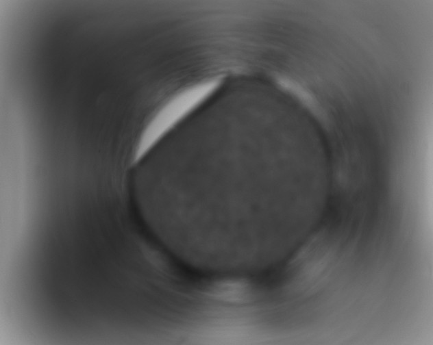 X0000092090066200709262131