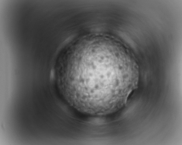 X0000092090067200709262131