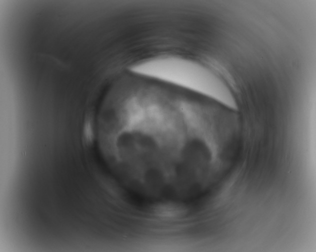 X0000092090069200709262131