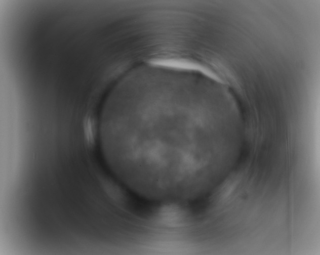 X0000092090070200709262131