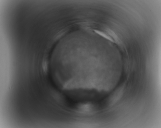 X0000092090071200709262131