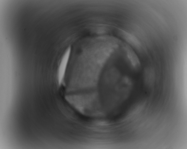 X0000092090073200709262131
