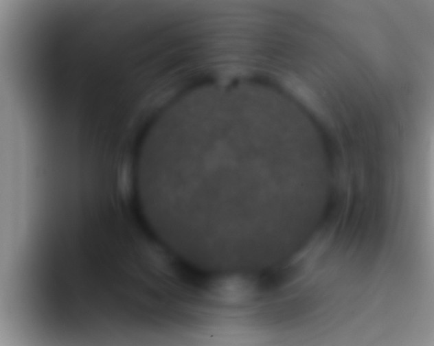 X0000092090074200709262131