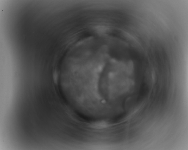 X0000092090075200709262131