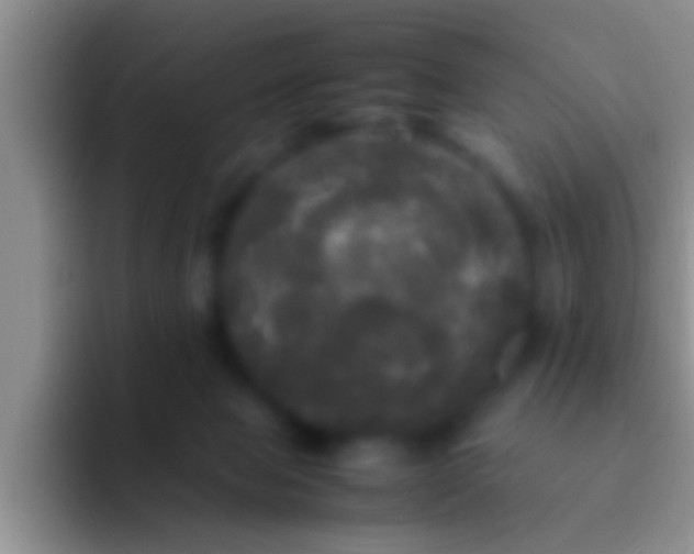 X0000092090077200709262131