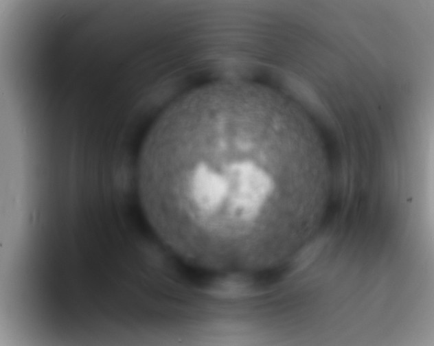 X0000092090078200709262131