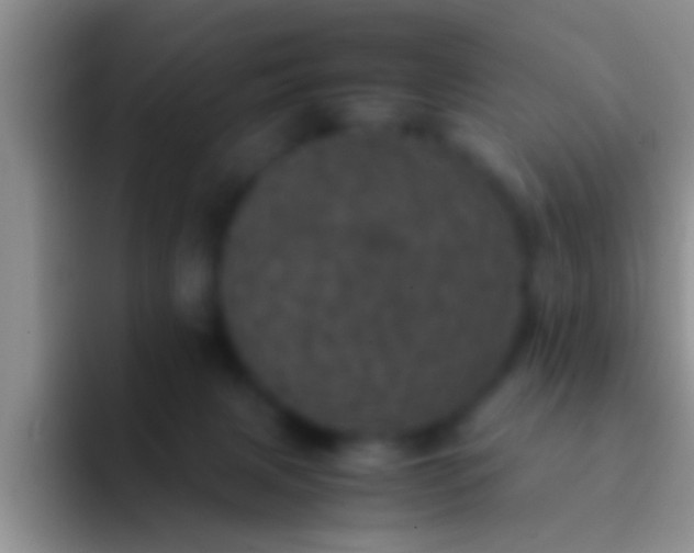 X0000092090079200709262131