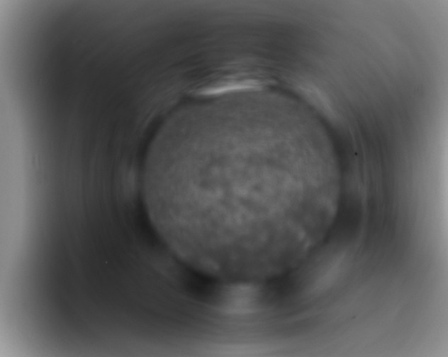 X0000092090081200709262131