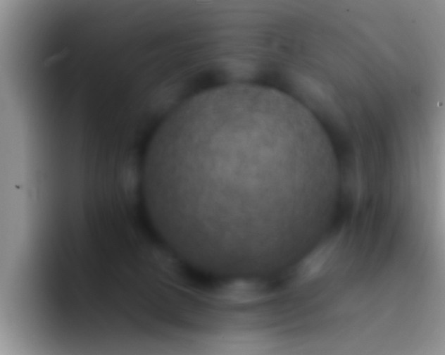 X0000092090082200709262131