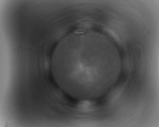 X0000092090083200709262131