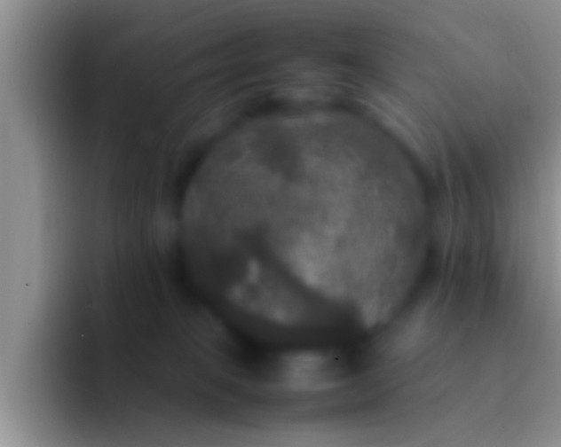 X0000092090085200709262131