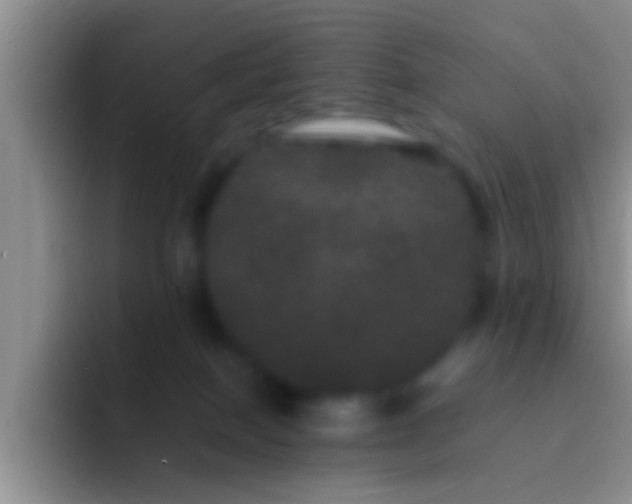 X0000092090086200709262131