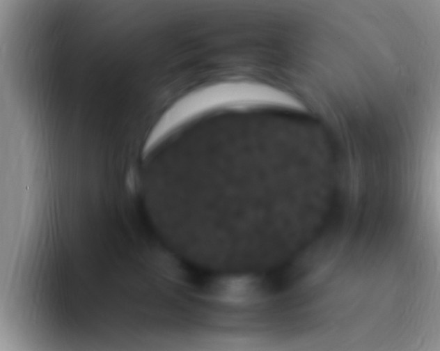 X0000092090089200709262131