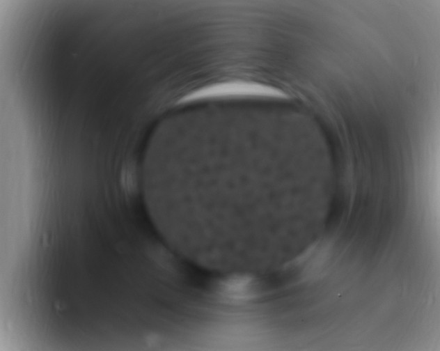 X0000092090090200709262131