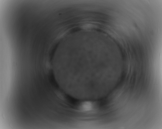 X0000092090091200709262131