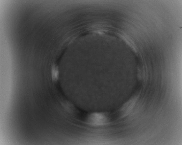 X0000092090095200709262131