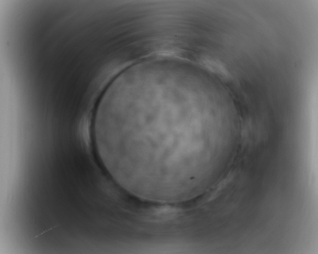 X0000092090098200709262130