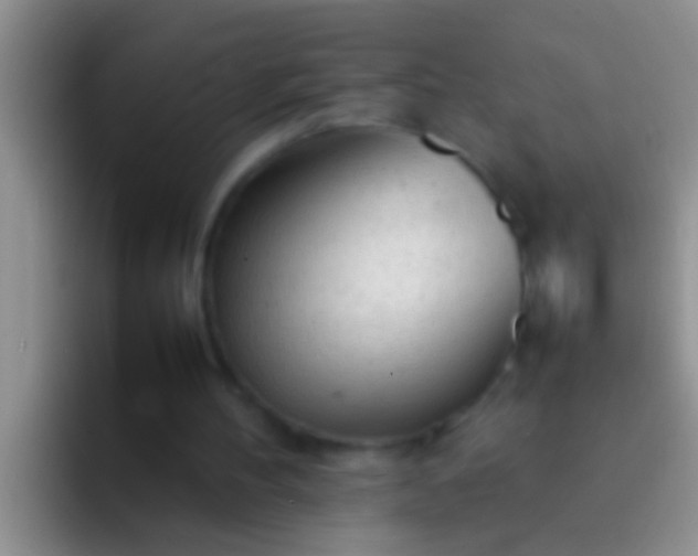 X0000092090100200709262130