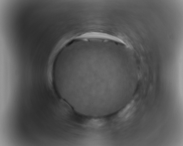 X0000092090101200709262130