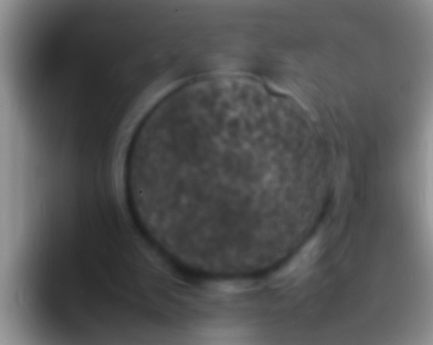 X0000092090103200709262130