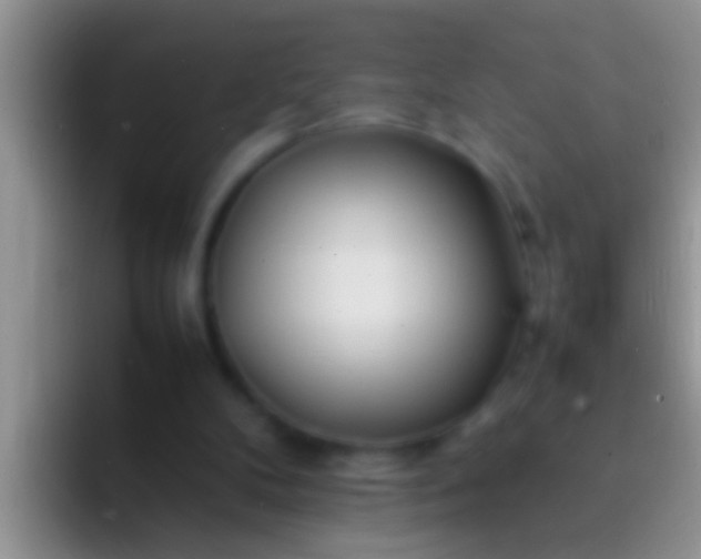 X0000092090104200709262130