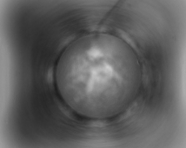 X0000092090106200709262130