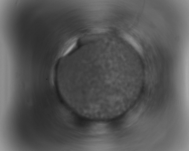 X0000092090107200709262130