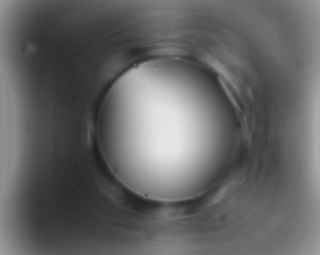 X0000092090109200709262130