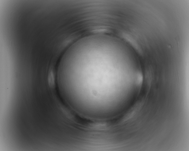 X0000092090110200709262130