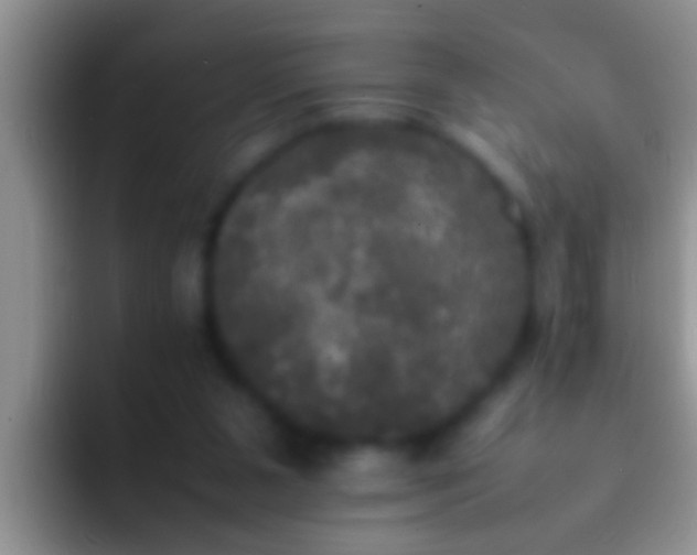 X0000092090111200709262130