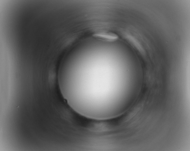 X0000092090113200709262130