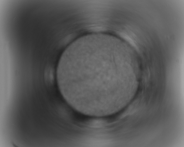 X0000092090115200709262130