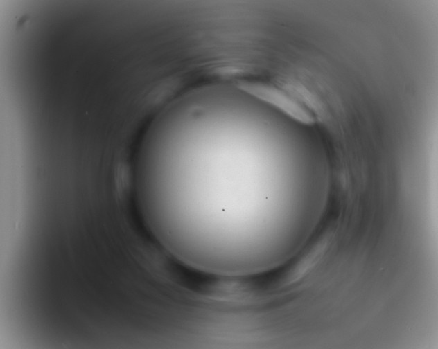 X0000092090117200709262130