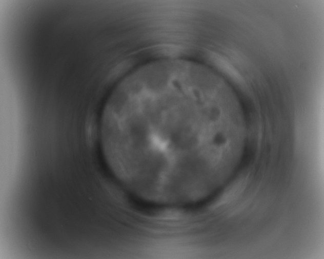 X0000092090119200709262130