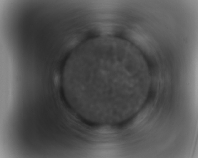 X0000092090123200709262130