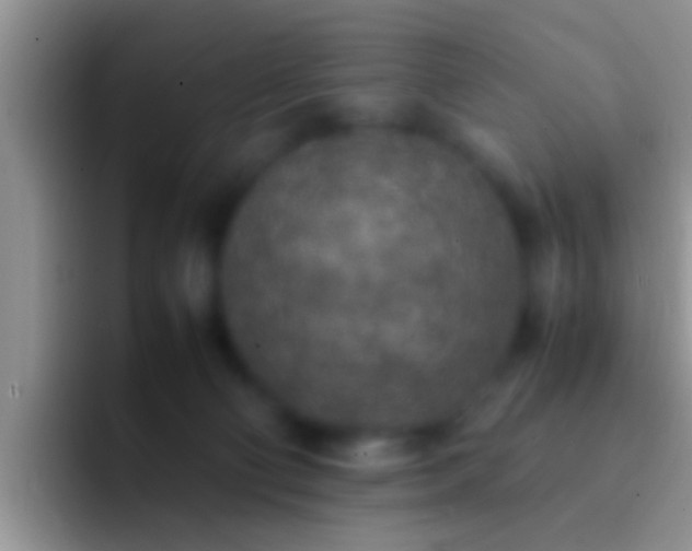 X0000092090130200709262130
