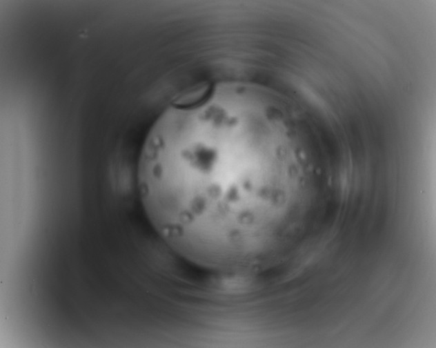 X0000092090134200709262130